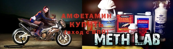 трава Белокуриха