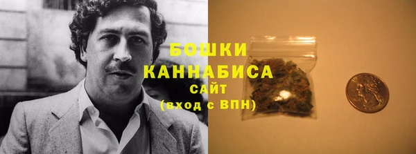 трава Белокуриха