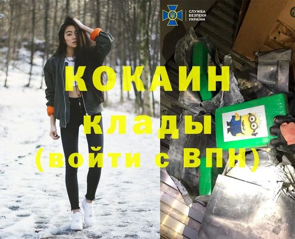 трава Белокуриха