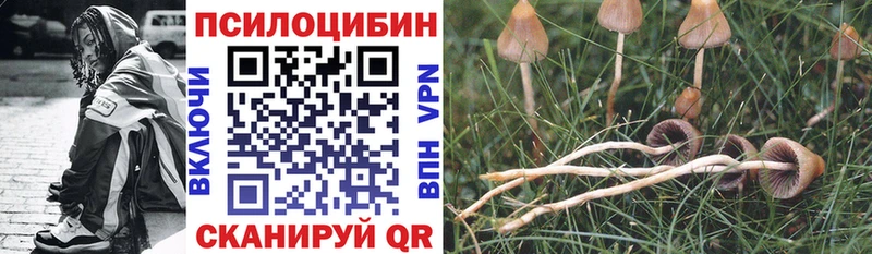 Купить  Ливны  Псилоцибиновые грибы мухоморы 