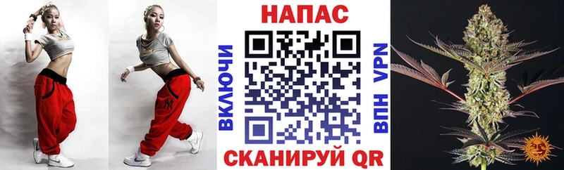 Конопля семена  Купить где  Ливны 