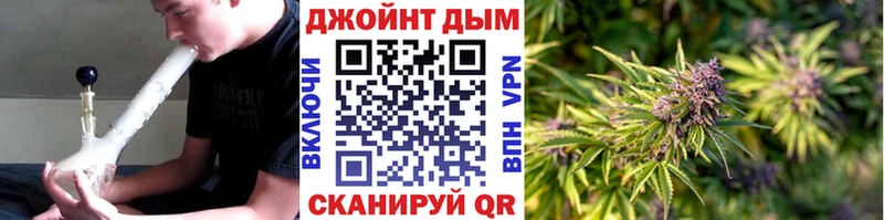 Шишки марихуана конопля Ливны